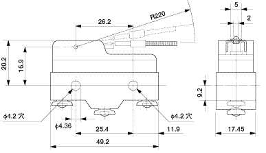 Limit Switch Hinge-Lever Type